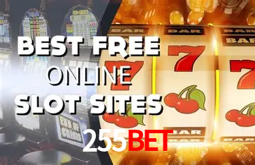 Interface Premium 255bet