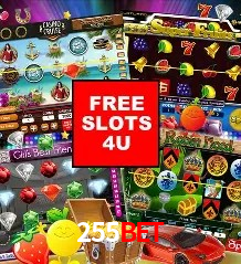 Security Systems 255bet